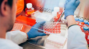 Explore products for your hematapoietic research.