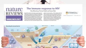 The Immune Response to HIV Poster