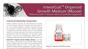 IntestiCult™类器官生长培养基（小鼠）