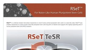 RSeT™ For Naive-Like Human Pluripotent Stem Cells