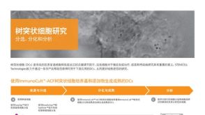 树突状细胞研究