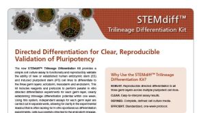 STEMdiff™ Trilineage Differentiation Kit