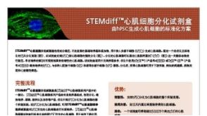 STEMdiff™心肌细胞分化试剂盒 由hPSC生成心肌细胞的标准化方案
