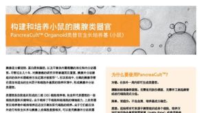 构建和培养 小鼠的胰腺类器官