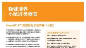 稳健培养 小鼠肝类器官