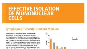 高效的单个核细胞分离液