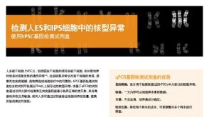 检测人ES和IPS细胞中的核型异常