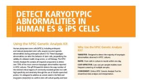 检测人ES和IPS细胞中的核型异常