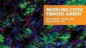 囊性纤维化气道建模
