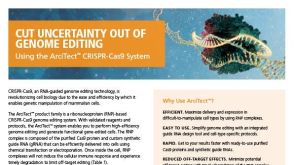 消除基因组编辑的不确定性