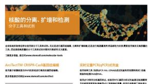 Molecular Tools and Reagents to Isolate, Amplify, and Detect Nucleic Acids