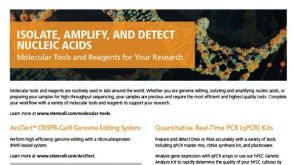 核酸的分离、扩增和检测