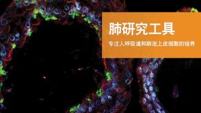 肺研究工具