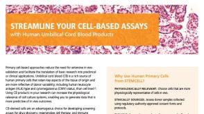 Human Cord Blood Products Overview Flyer