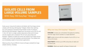 使用Easy 250 EasySep™ 磁极 从大体积样本中分离目的细胞