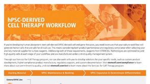 hPSC-Derived Cell Therapy Workflow