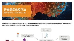 使用适合您工作流程的工具 开发癌症免疫疗法