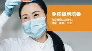 免疫細胞培養