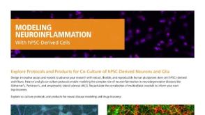Modeling Neuroinflammation with hPSC-Derived Cells