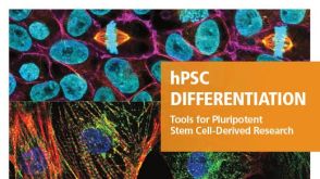 hPSC分化 多能干细胞衍生研究工具