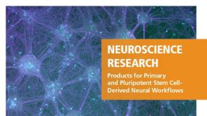 STEMCELL 神经科学 研究工具