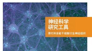 STEMCELL Neural Product Portfolio