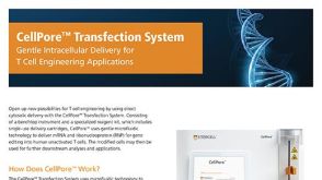 CellPore™转染系统   用于T细胞工程的温和胞内转染