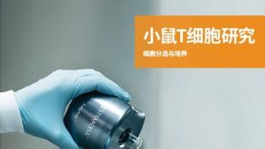小鼠T细胞研究  - 细胞分选与培养