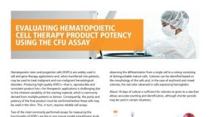 Evaluating Hematopoietic Cell Therapy Product Potency Using the CFU Assay