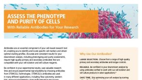 Reliable Antibodies for Your Research