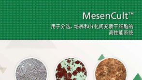 MesenCult&trade;用于分选、培养和分化间充质干细胞的高性能系统