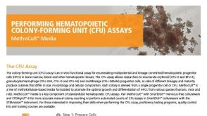 MethoCult™ Media for Performing Hematopoietic Colony-Forming Unit (CFU) Assays
