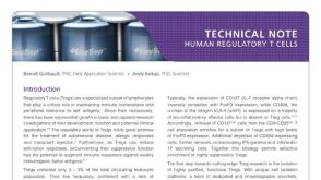 Simple and Effective Isolation of Human Regulatory T Cells