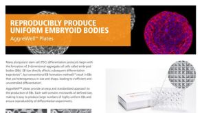 AggreWell™: Reproducible, Uniform Embryoid Bodies