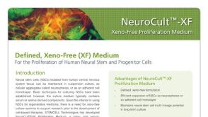 NeuroCult™-XF: Xeno-Free Culture Medium for the Proliferation of Human Neural Stem Cells