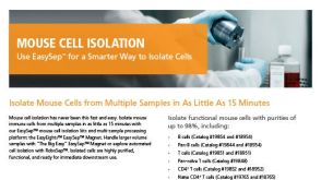 小鼠细胞分选