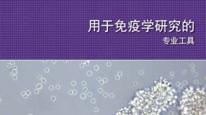 用于免疫学研究的专业工具