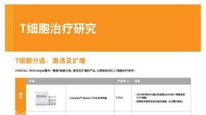 T细胞治疗研究
