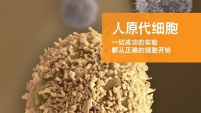 人原代细胞  一切成功的实验都从正确的细胞开始