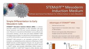 STEMdiff™ Mesoderm Induction Medium