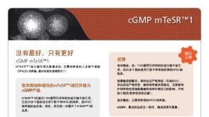 cGMP mTeSR™1