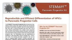 STEMdiff™ Pancreatic Progenitor Kit