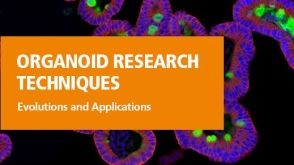 类器官研究技术演变与应用