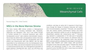 Mesenchymal Stromal Cells: Markers, Isolation and Culture, Differentiation, and Therapeutic Potential