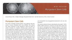 Pluripotent Stem Cells