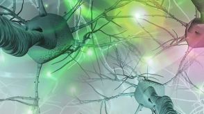 Modeling Neurological Disease