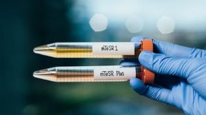 STEMCELL Technologies Launches mTeSR™ Plus, a Next-Generation Culture System for Human ES and iPS Cell Maintenance