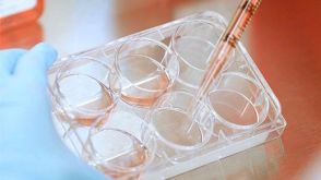 Speeding up Stem Cell Research: Genome BC, STEMCELL Technologies and UBC Partner to Accelerate the Ability to Develop Stem Cells