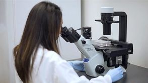 Enzyme-Free Passaging of Human Pluripotent Stem Cells Using Gentle Cell Dissociation Reagent