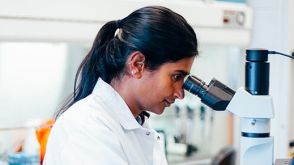 如何分选小鼠骨髓细胞并对其染色以进行流式检测？